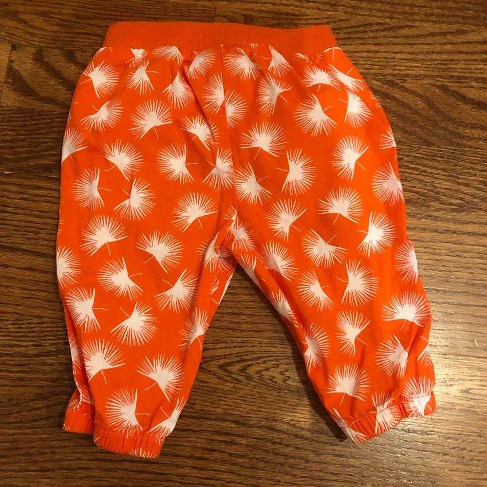 GAP euc orange